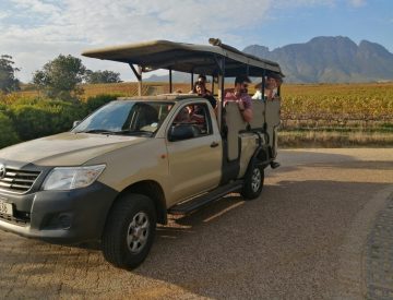 Teambuilding Wine Safaris