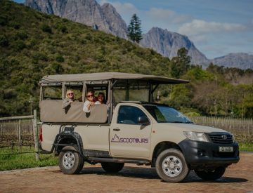 Half Day Wine Safari - Stellenbosch North